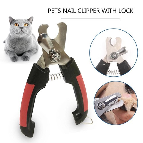 Pet small nail - small, clippers