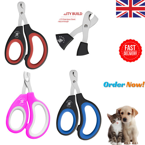 Small pet paw care grooming - paw,