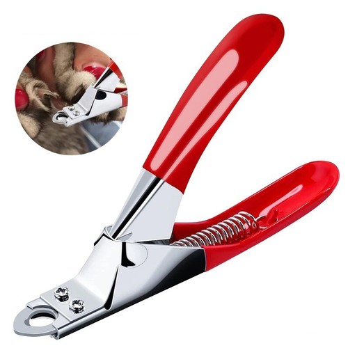 Pet nail clippers - nail, cat