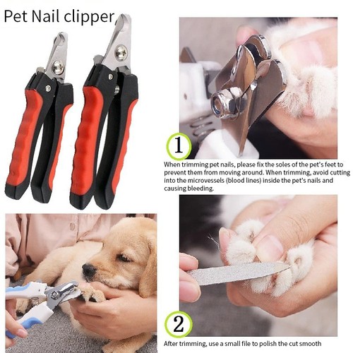 Pet nail clippers dogs - nail,