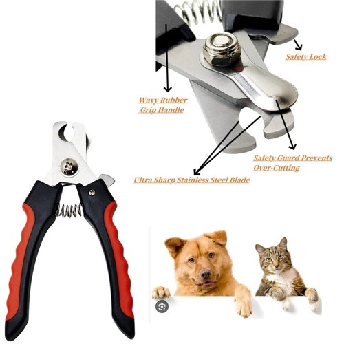 Claw grooming pet nail - grooming,