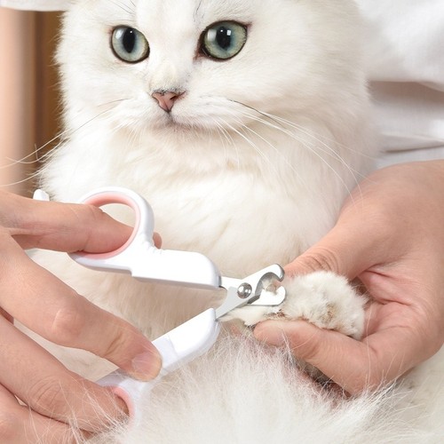 Pet dog nail clippers cat - nail,
