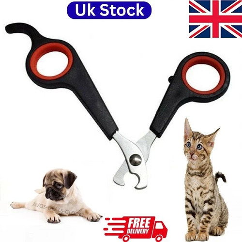 Pet dog nail - dog,