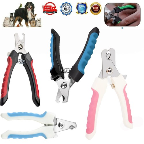 Claw grooming small pet nail - grooming,