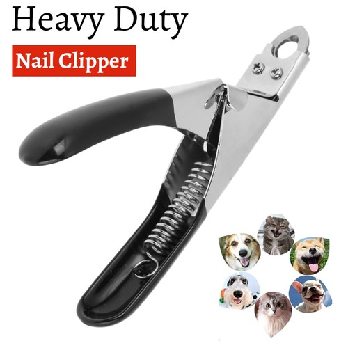 Dog cat rabbits nail - dog,