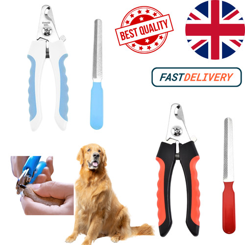Puppy nail clippers guinea - nail, pig