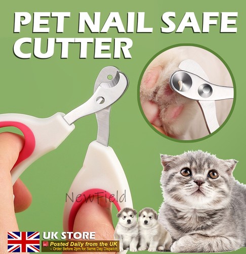 Little pet nail - little,