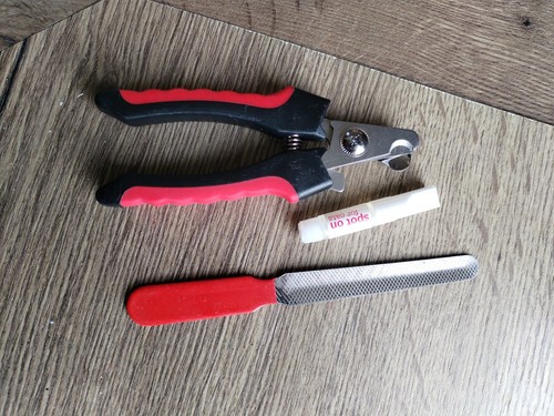 New pet nail clippers - pet, dog