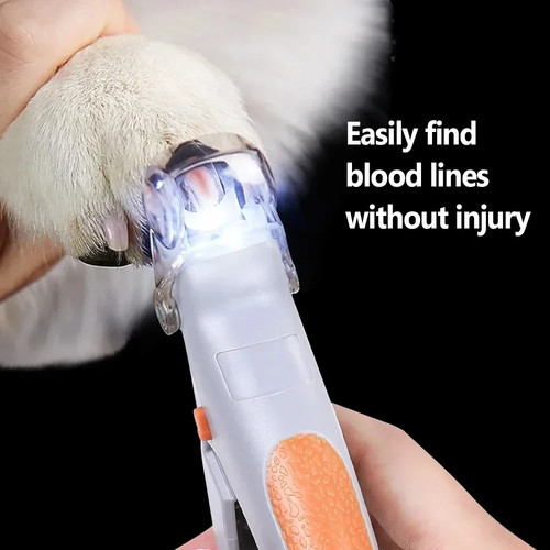 Dog cat pet - pet, clippers