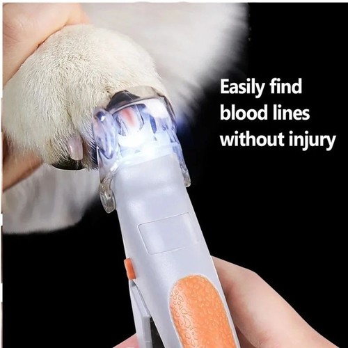 Dog cat pet - dog, clippers
