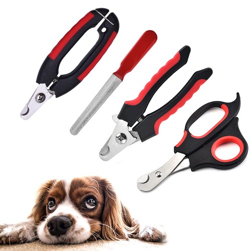 Pet nail clippers cat - nail,