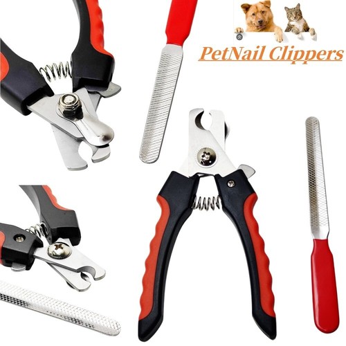 Claw grooming pet nail - grooming,
