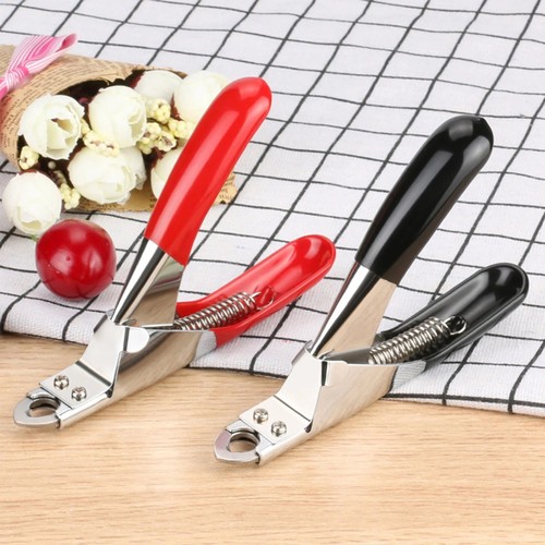 Pet nail clippers - nail, dog