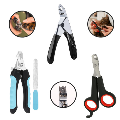 Dog nail clippers pet grooming - nail,